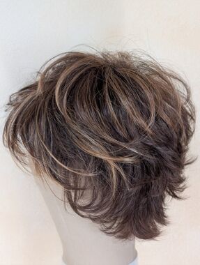 Raquel Welch Winner Wig R9S+ Shaggy Pixie Natural Brown Highlights EUC Box Tag